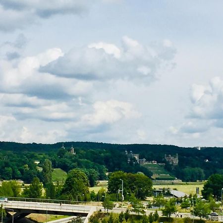 Panoramablick auf Elbe und Schlösser Dresden Exterior foto