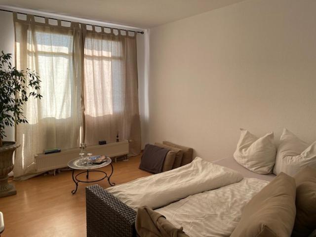 Panoramablick auf Elbe und Schlösser Dresden Exterior foto